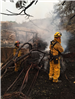 FVFD - Thomas Fire _2275