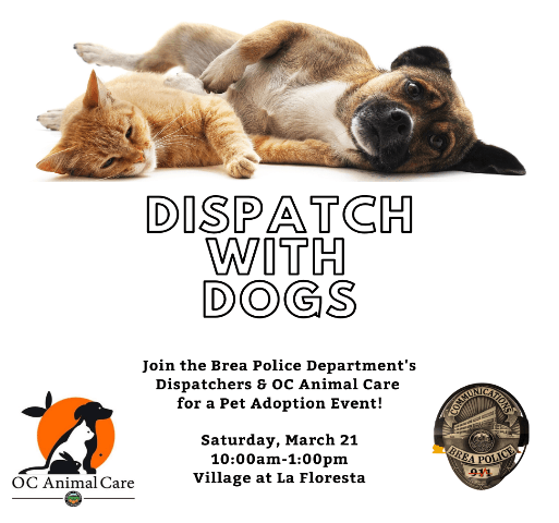 DISPATCH WITH DOGS 3-21-20