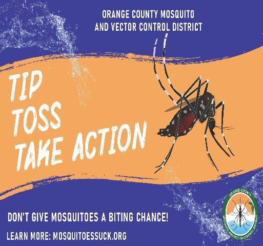 TIPTOSSTAKEACTION COLOR 2020 POSTER