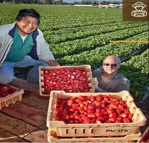 Farmers market_OC Fair