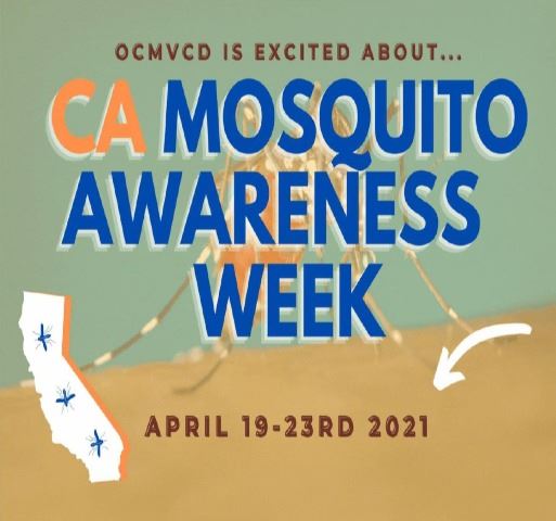 OCMVD week