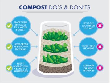 Composting Dos and Donts