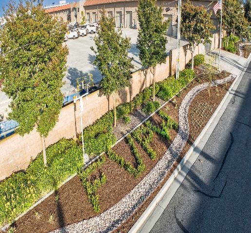 FV PW Landscape May 20 2024-7