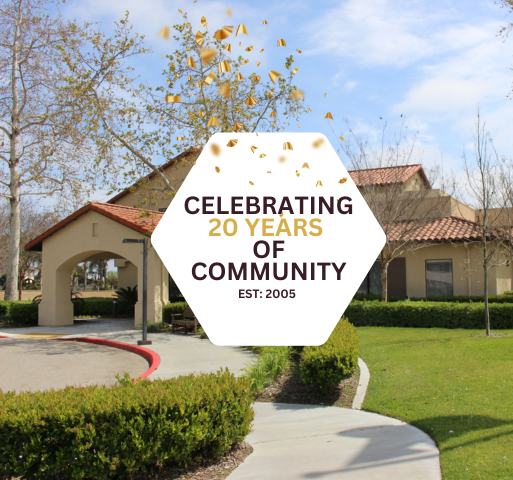 Celebrating 20 Years of Community (513 x 480 px)