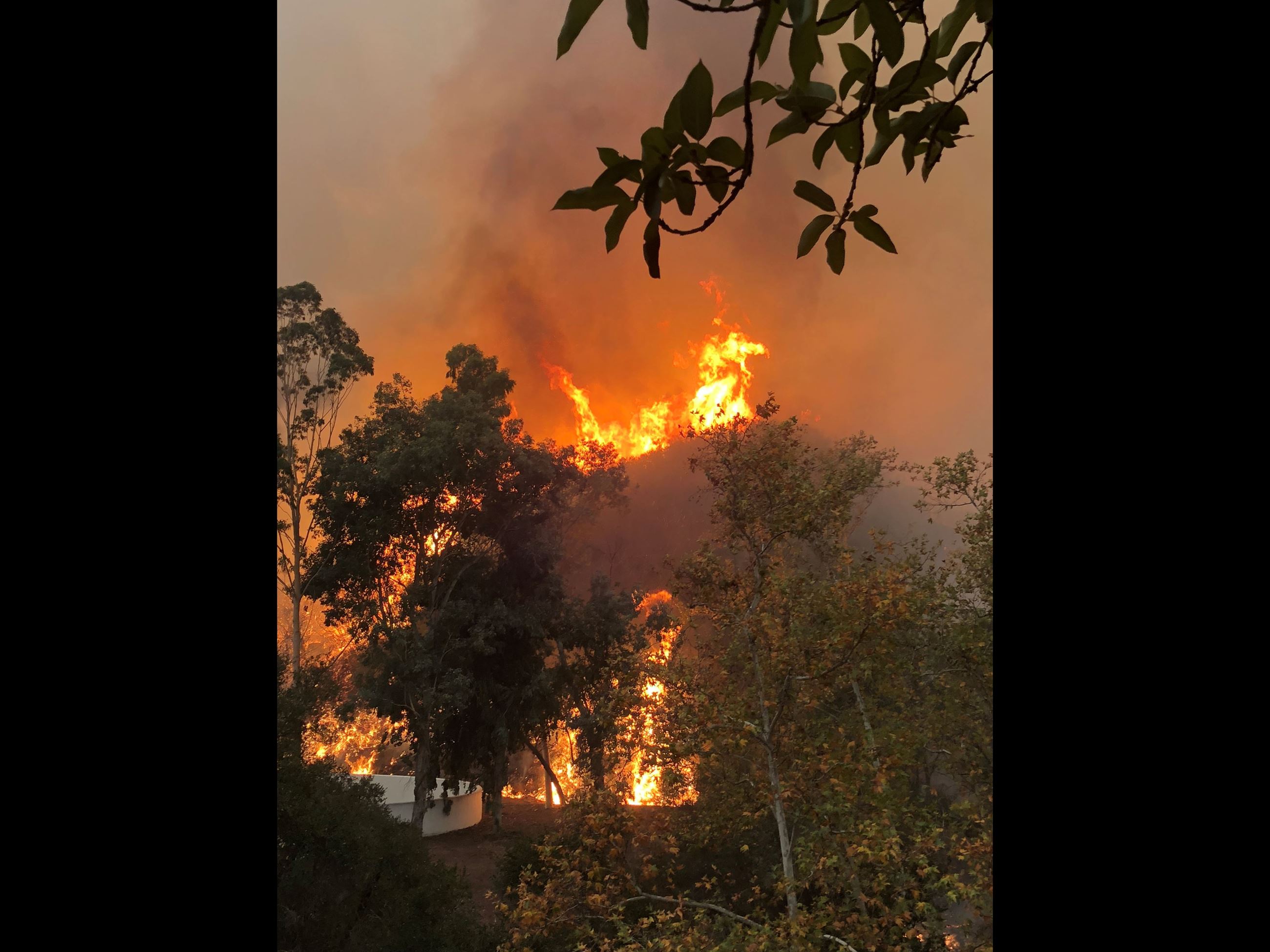 FVFD - Thomas Fire _0308