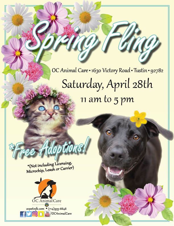 Spring Fling 2018
