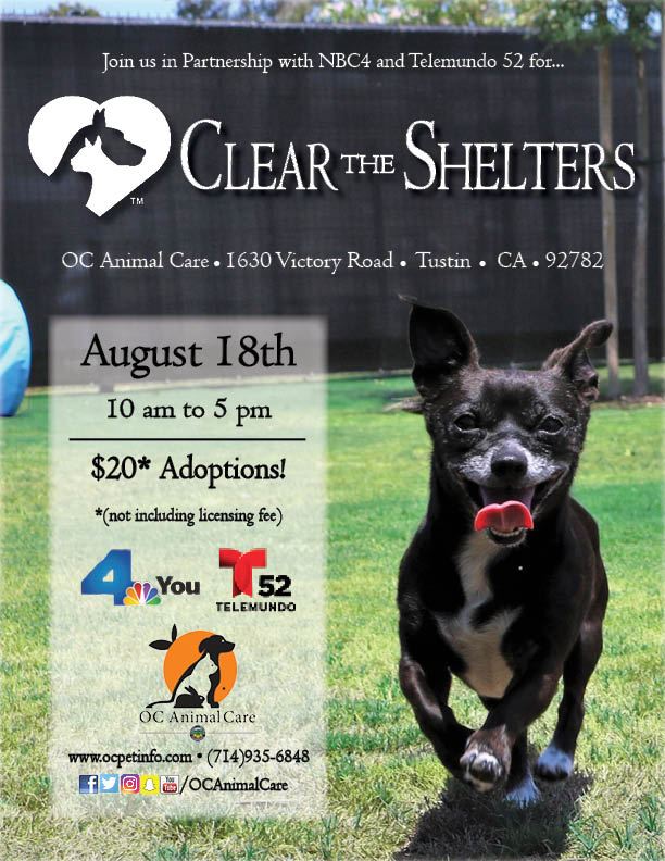 Clear the Shelters 2018