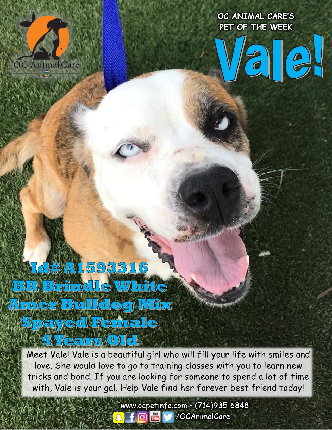 Vale 9.27.18