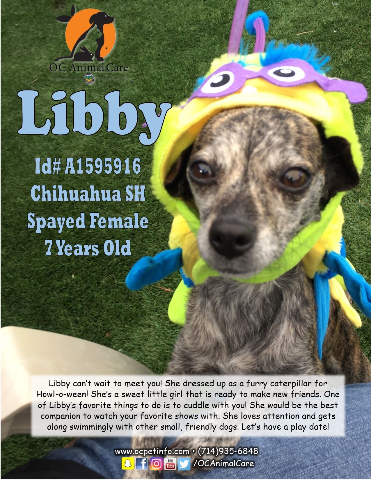 Libby dog 10.25.18