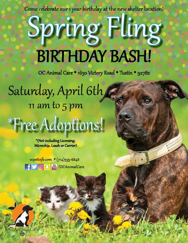 Spring Fling Birthday Bash 2019