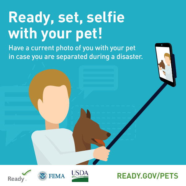 PetPreparedness_FacebookPost_3IdentificationB_medium