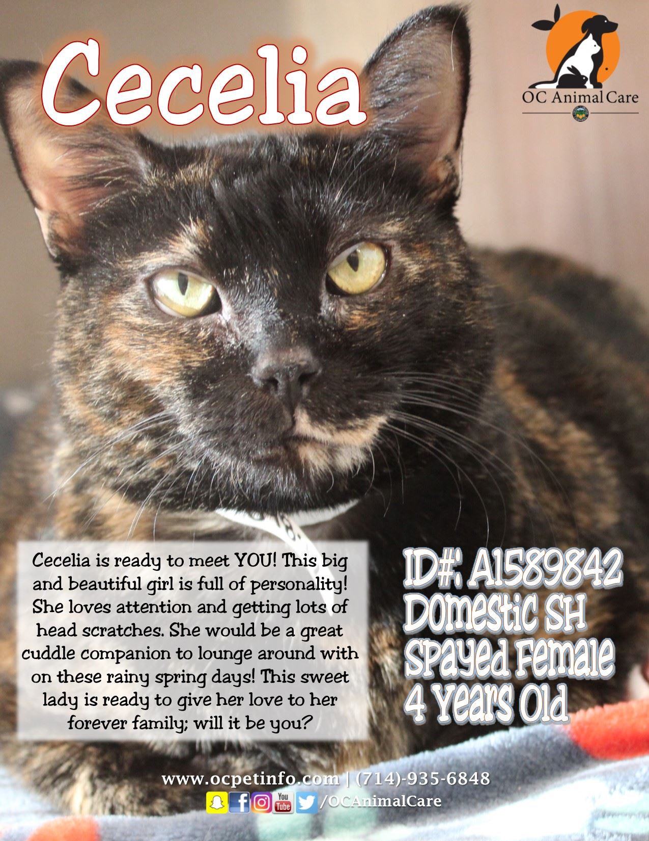 Cecelia 3.21.19