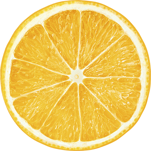 bg-citrus-white