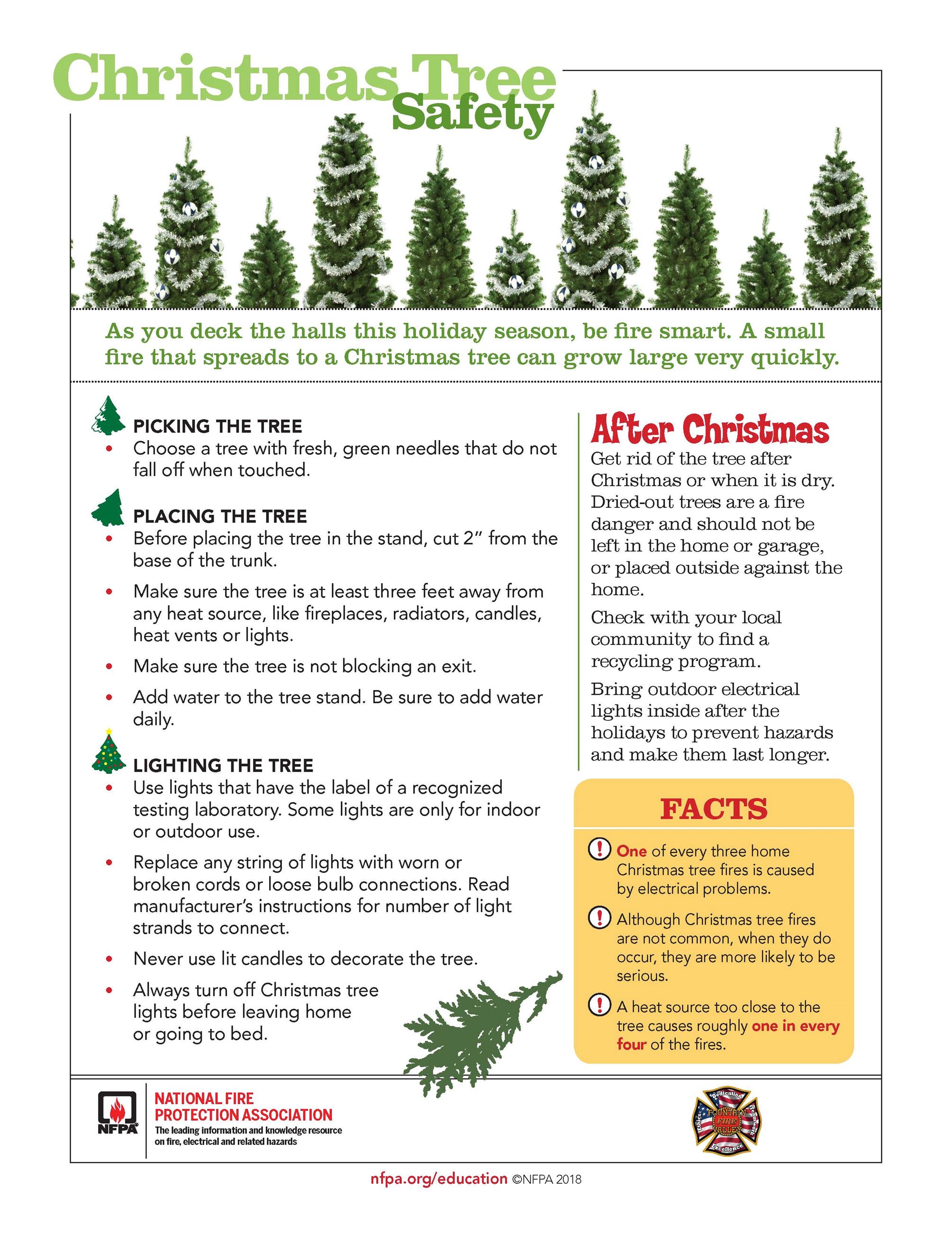 ChristmasTreeSafetyTips
