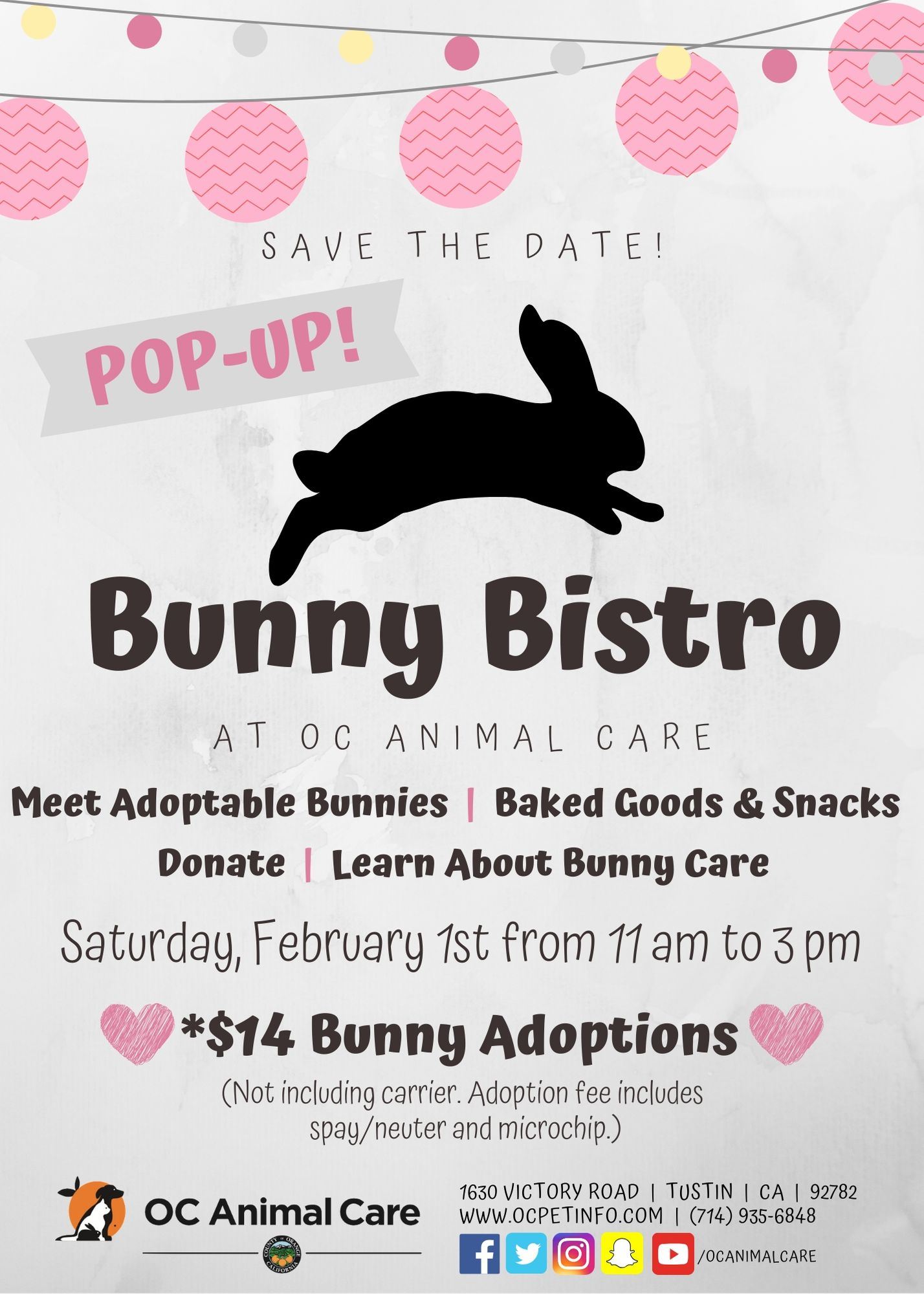 Bunny Bistro 2020