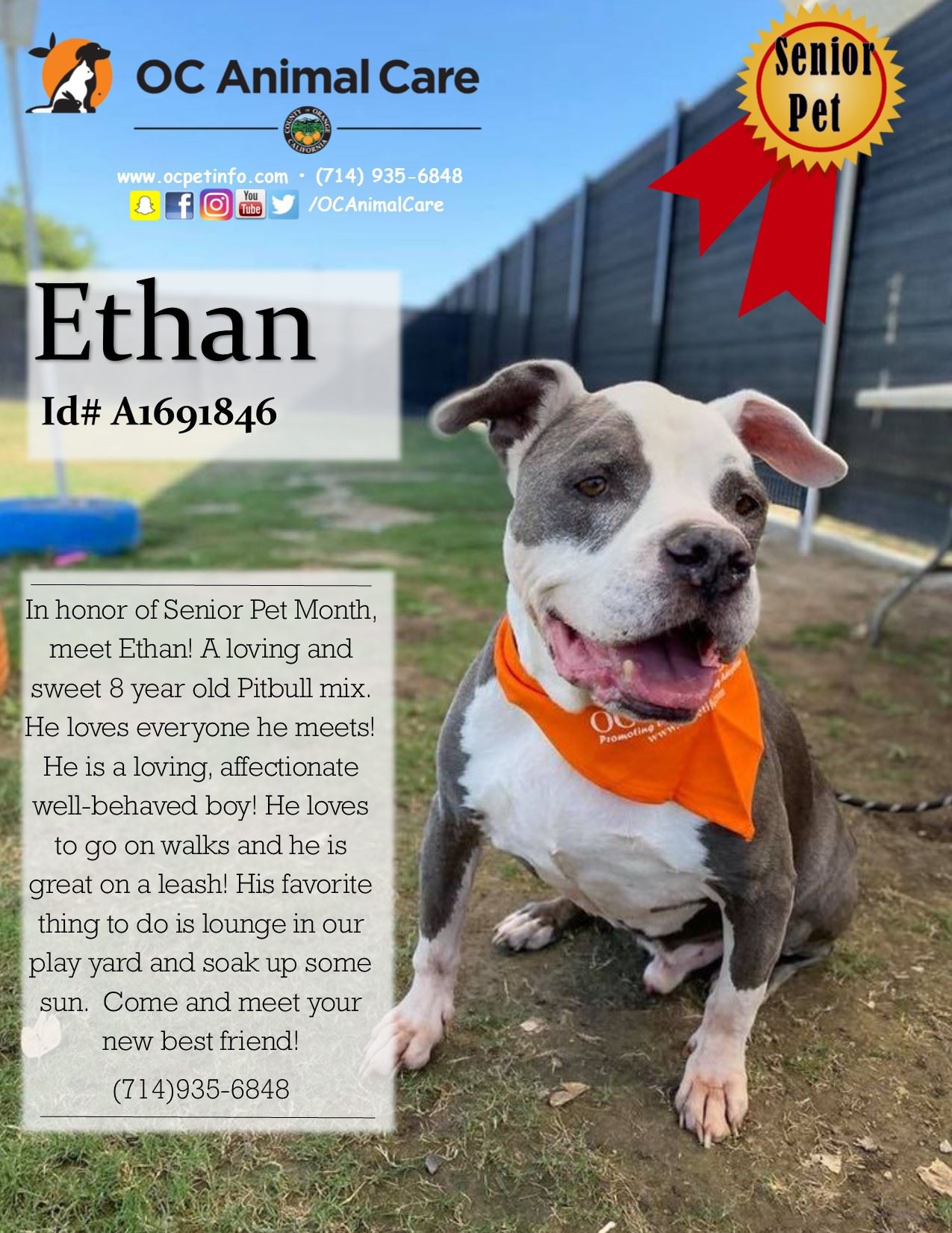 Pet of the week 10-01-20