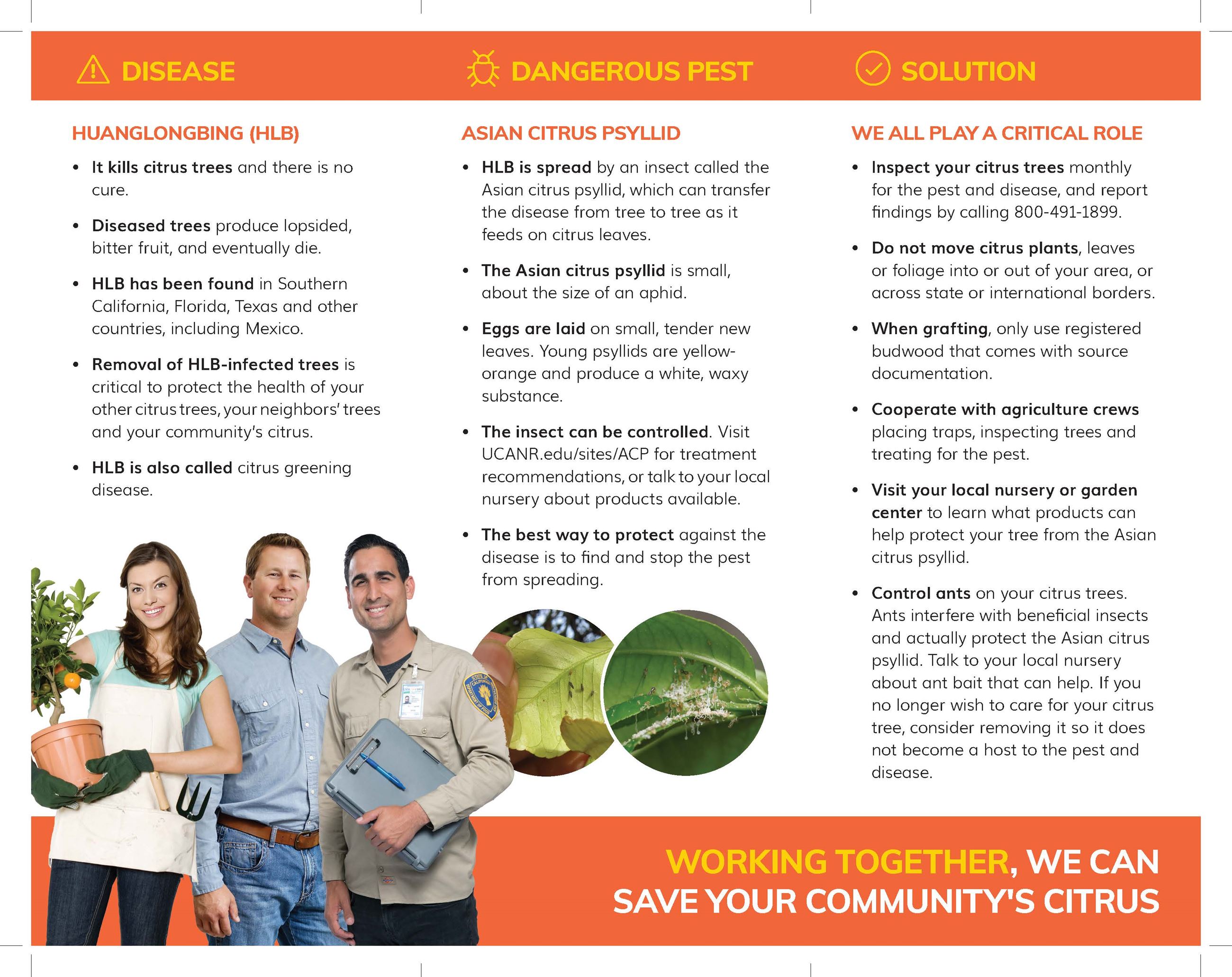 Citrus disease_English_Page_2