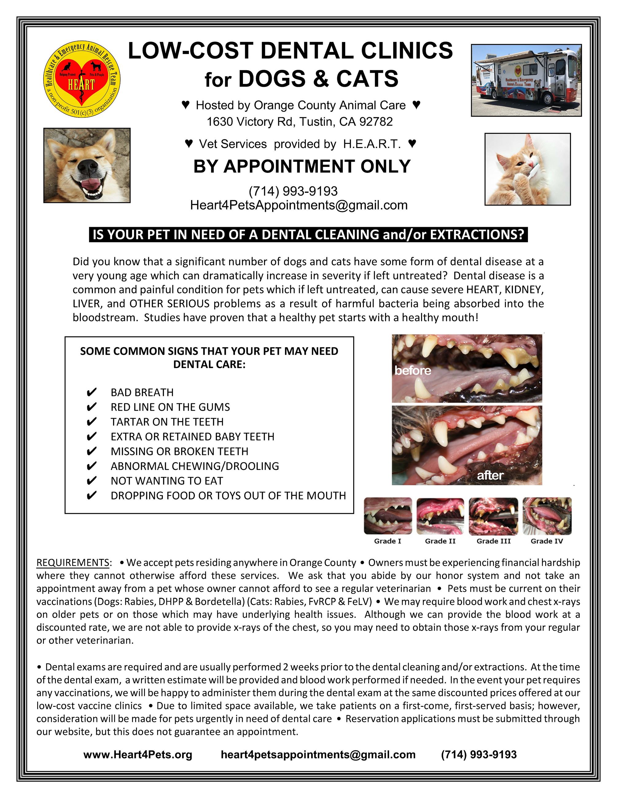 Dental Clinic Flyer OCAC 5-13-21