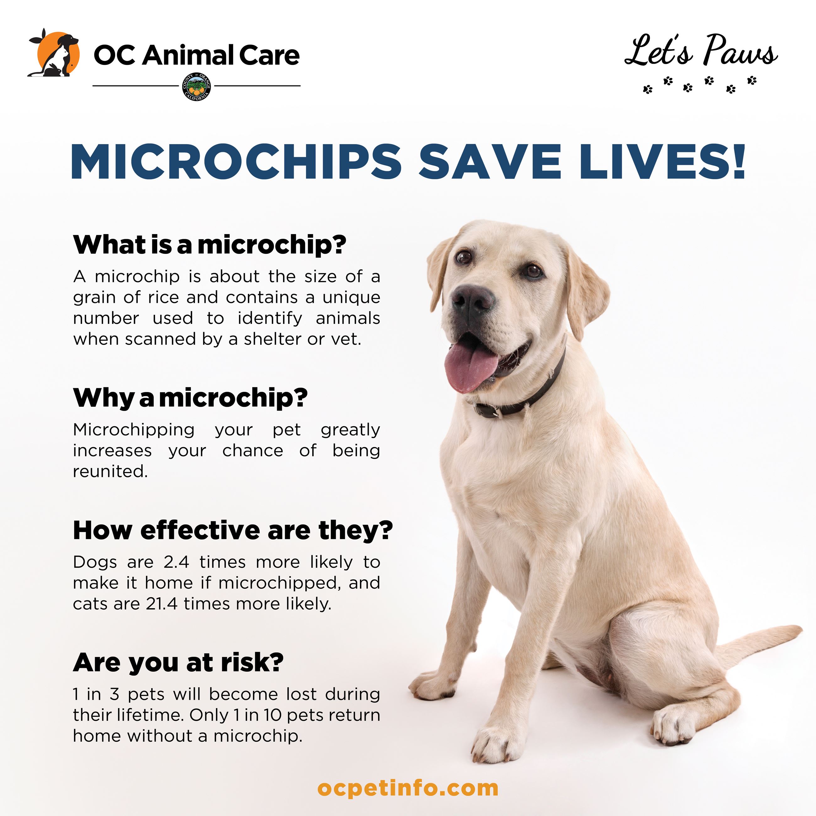 Microchipping Graphic 5-13-21