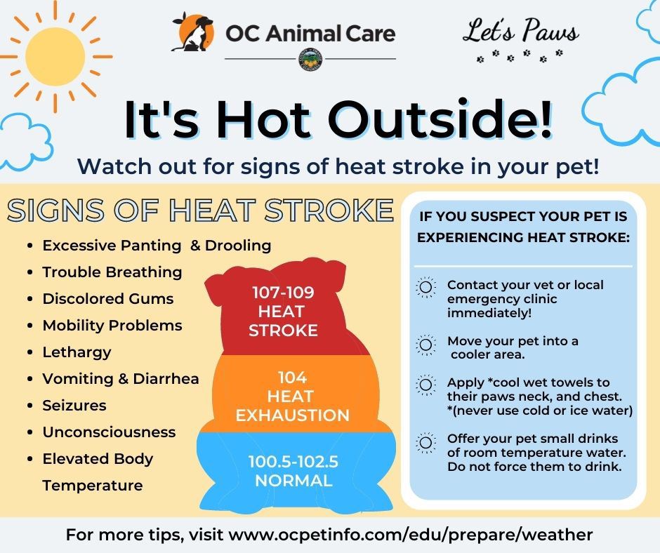 Lets Paws- Heat Stroke